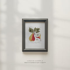 Vintage Pear Still Life Art Print 00262 | Framed in 00303