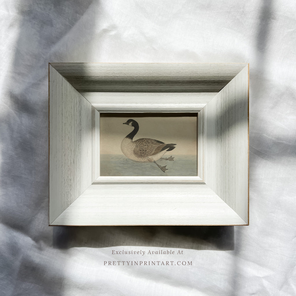 White Wooden Frame | W-FP-10465 (UK ONLY)