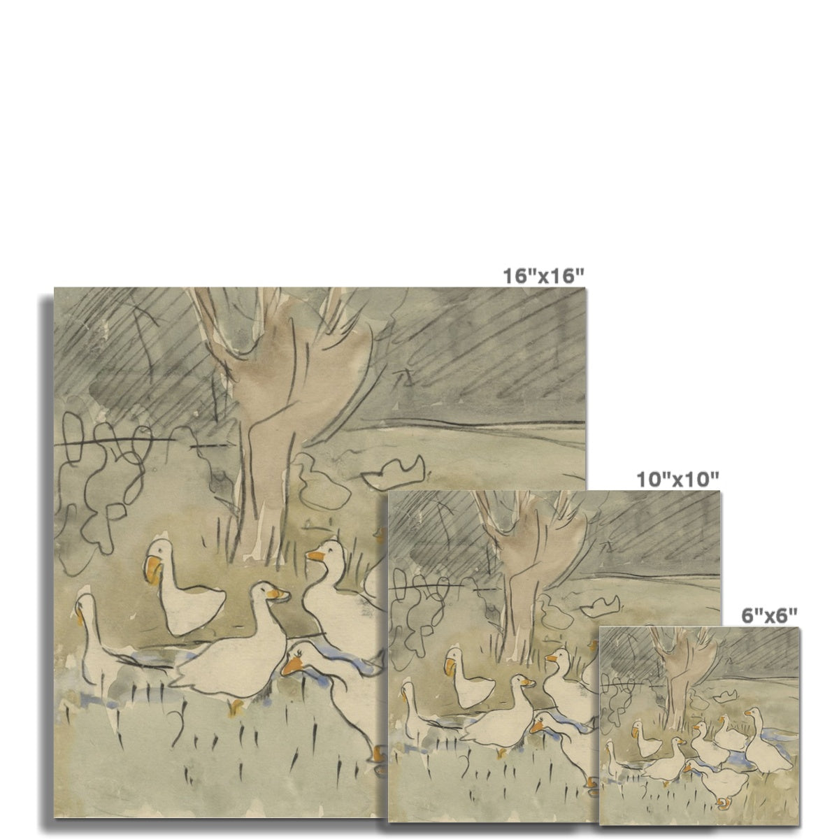 Vintage Duck Sketch Art 00549 |  Unframed
