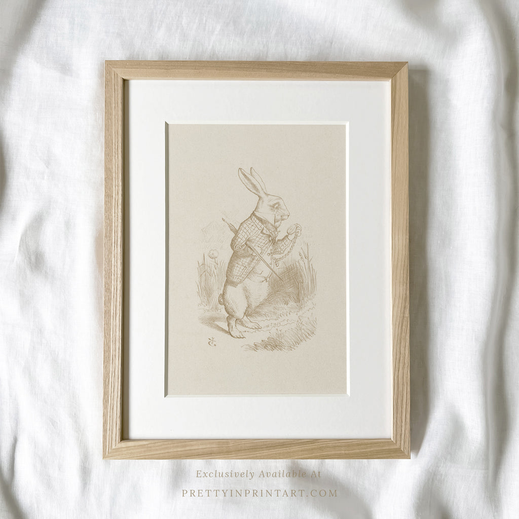 Alice's Adventures in Wonderland |  Framed & Mounted Print