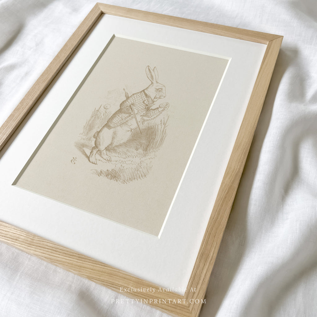 Alice's Adventures in Wonderland |  Framed & Mounted Print