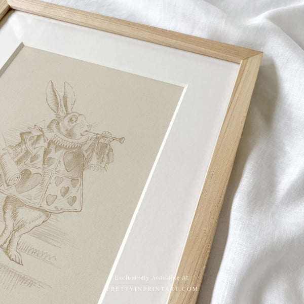 Alice's Adventures in Wonderland |  Framed & Mounted Print