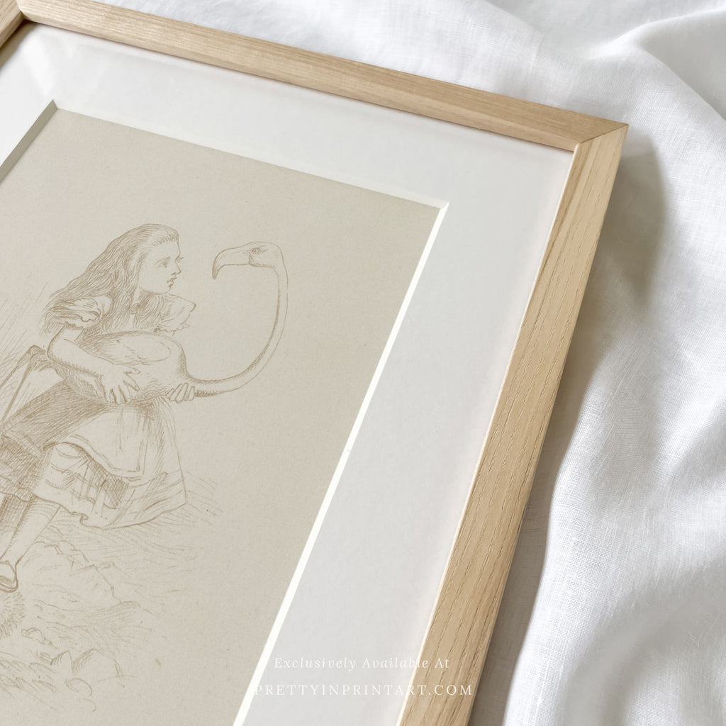 Alice's Adventures in Wonderland |  Framed & Mounted Print