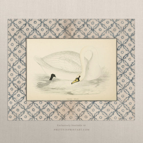 Vintage Swan Nursery Art Print – Antique Storybook Style Wall Art, Unframed