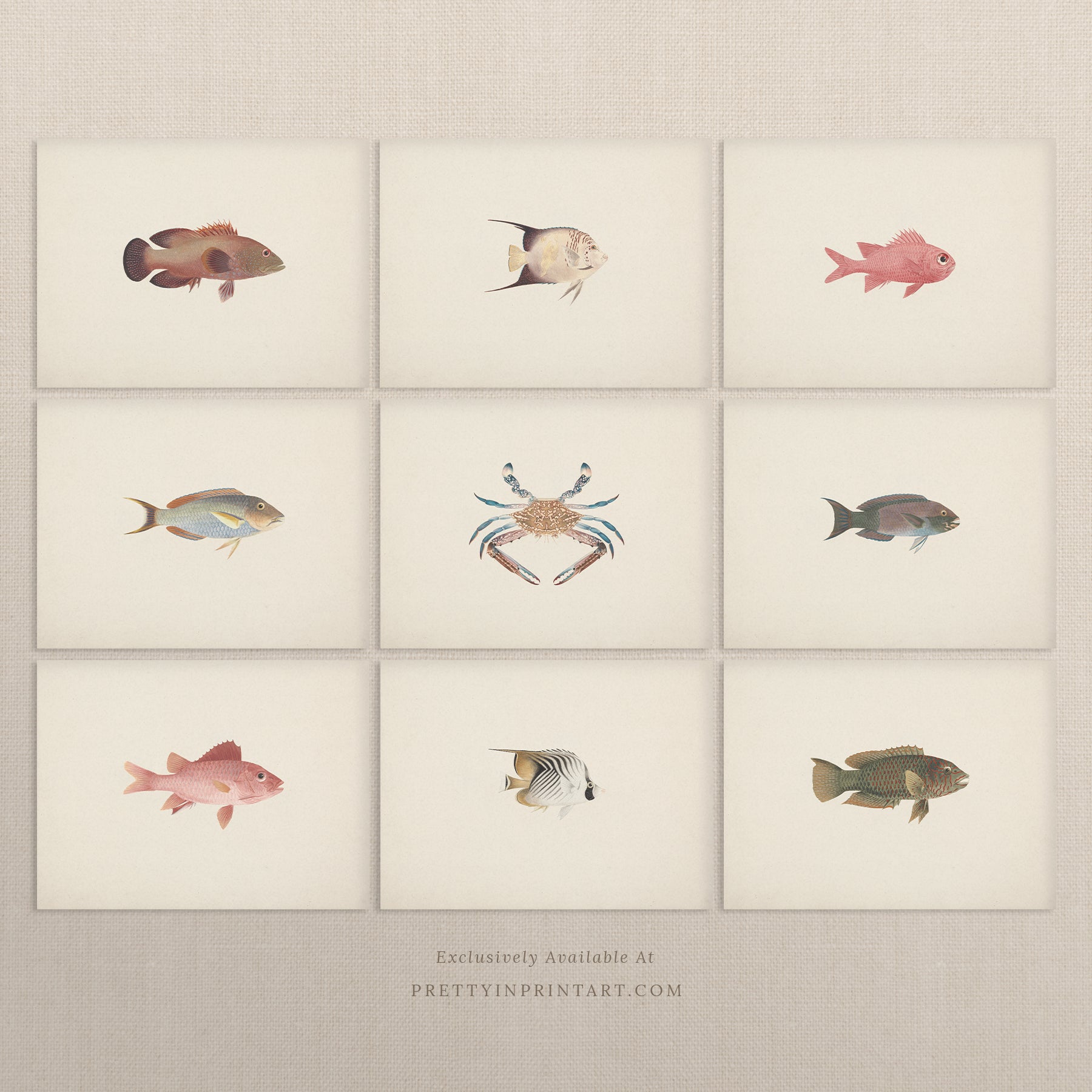 Vintage Fish Art Print 00706 |  Unframed