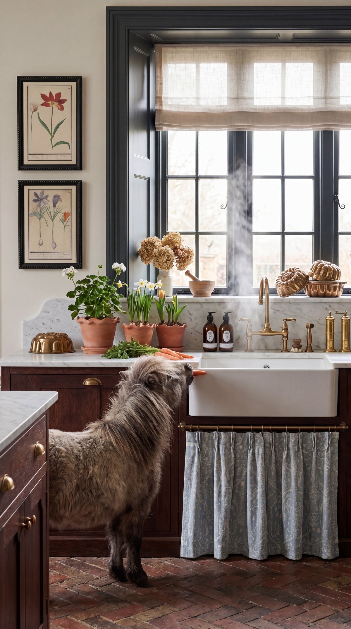 Vintage horse and botanical prints in antique frames displayed on a farmhouse kitchen wall