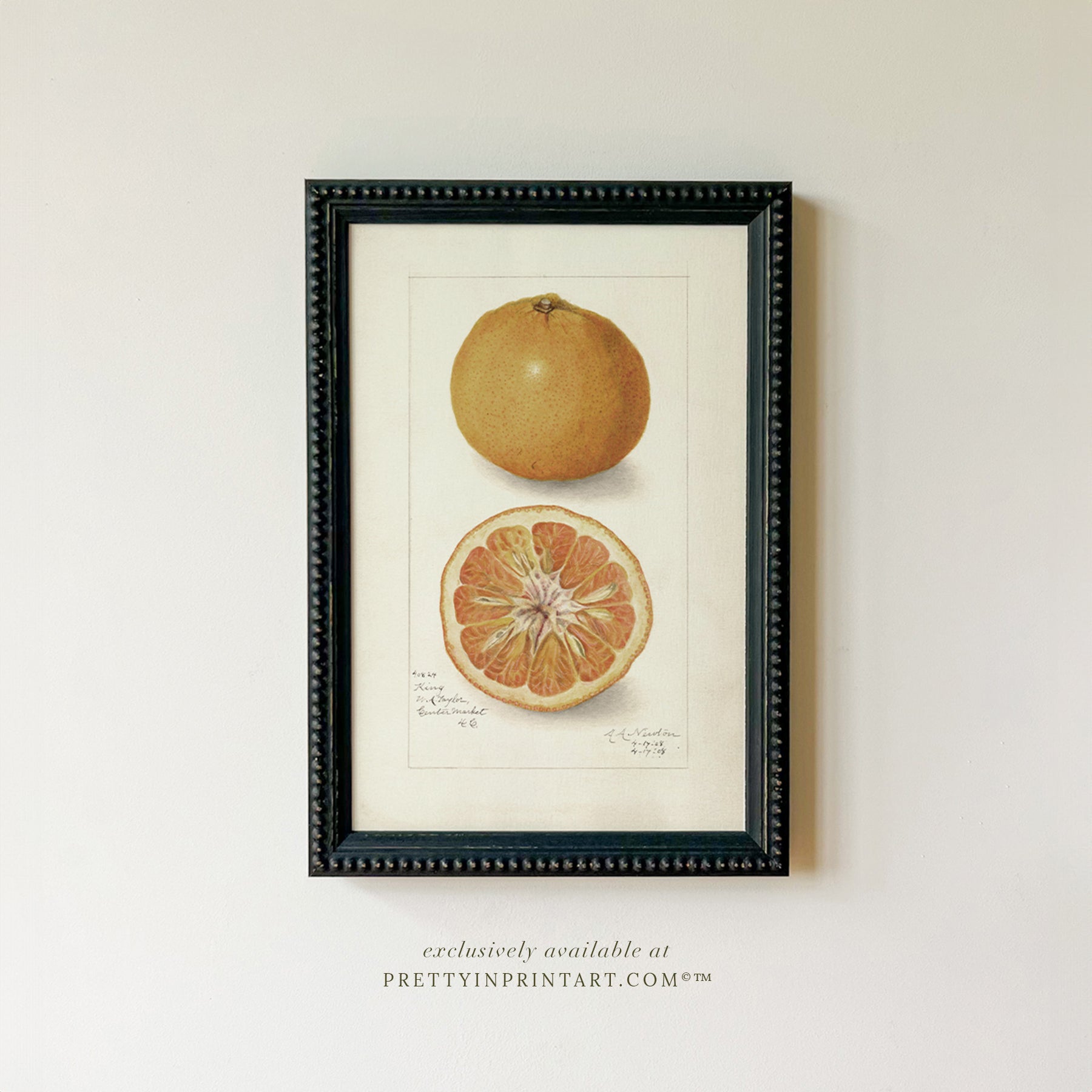 Framed Vintage Fruit Art | Citrus 008