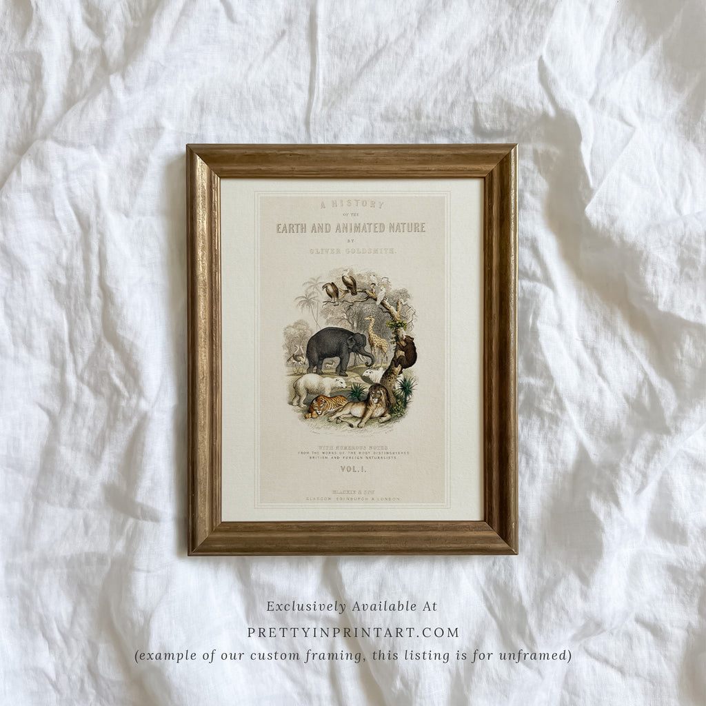 Animal Nursery Art, 00689 |  Unframed