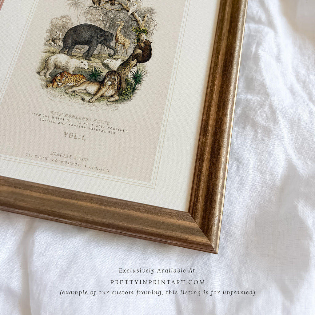 Animal Nursery Art, 00689 |  Unframed