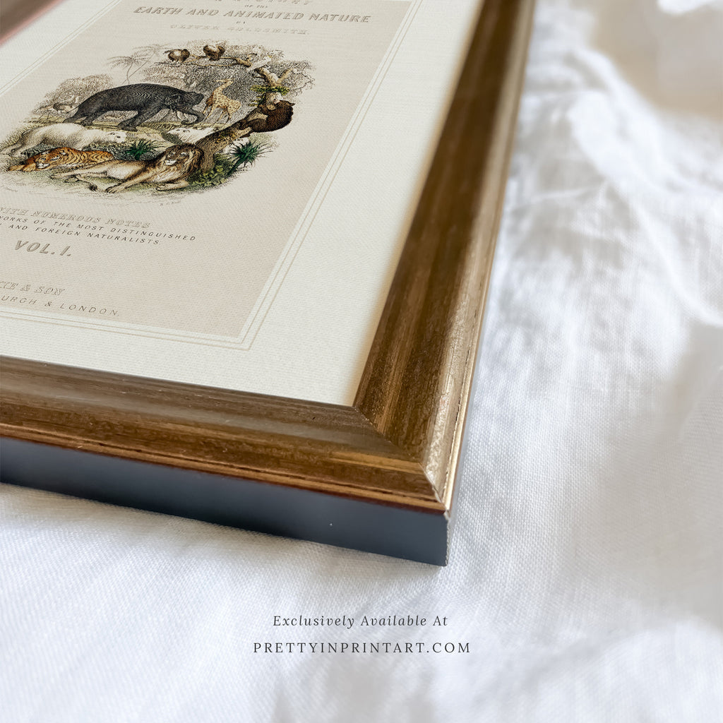 Soft Gold Vintage-Style Frame | 10473 (UK ONLY)