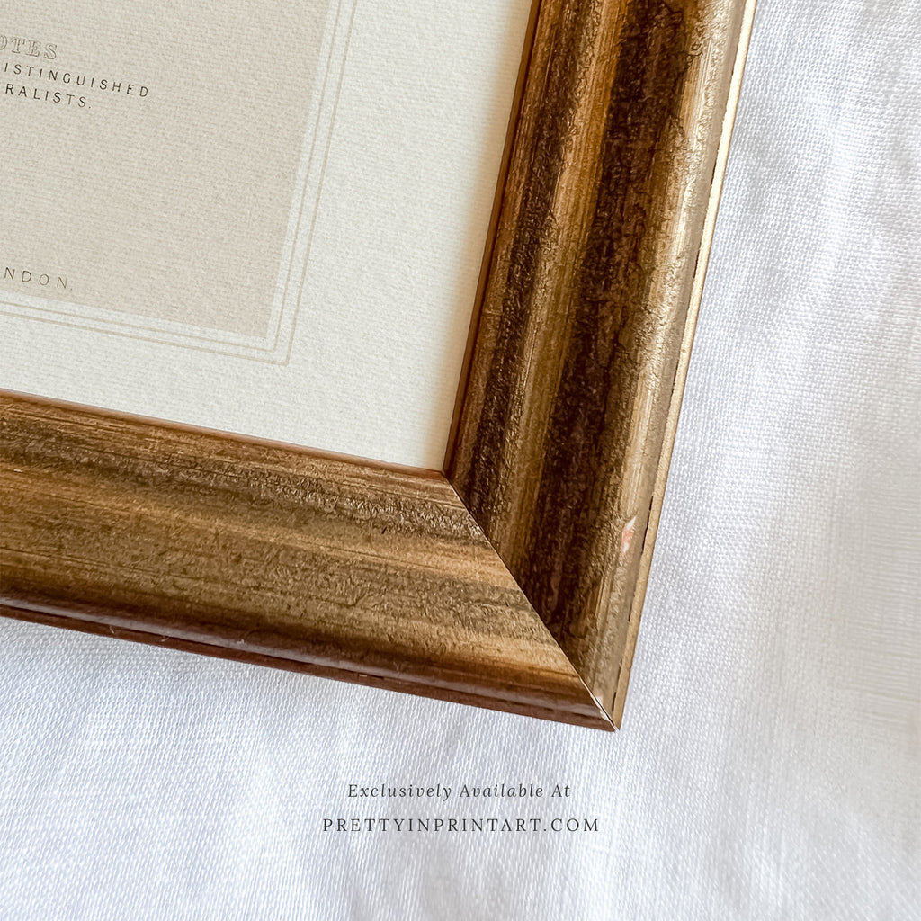 Soft Gold Vintage-Style Frame | 10473 (UK ONLY)