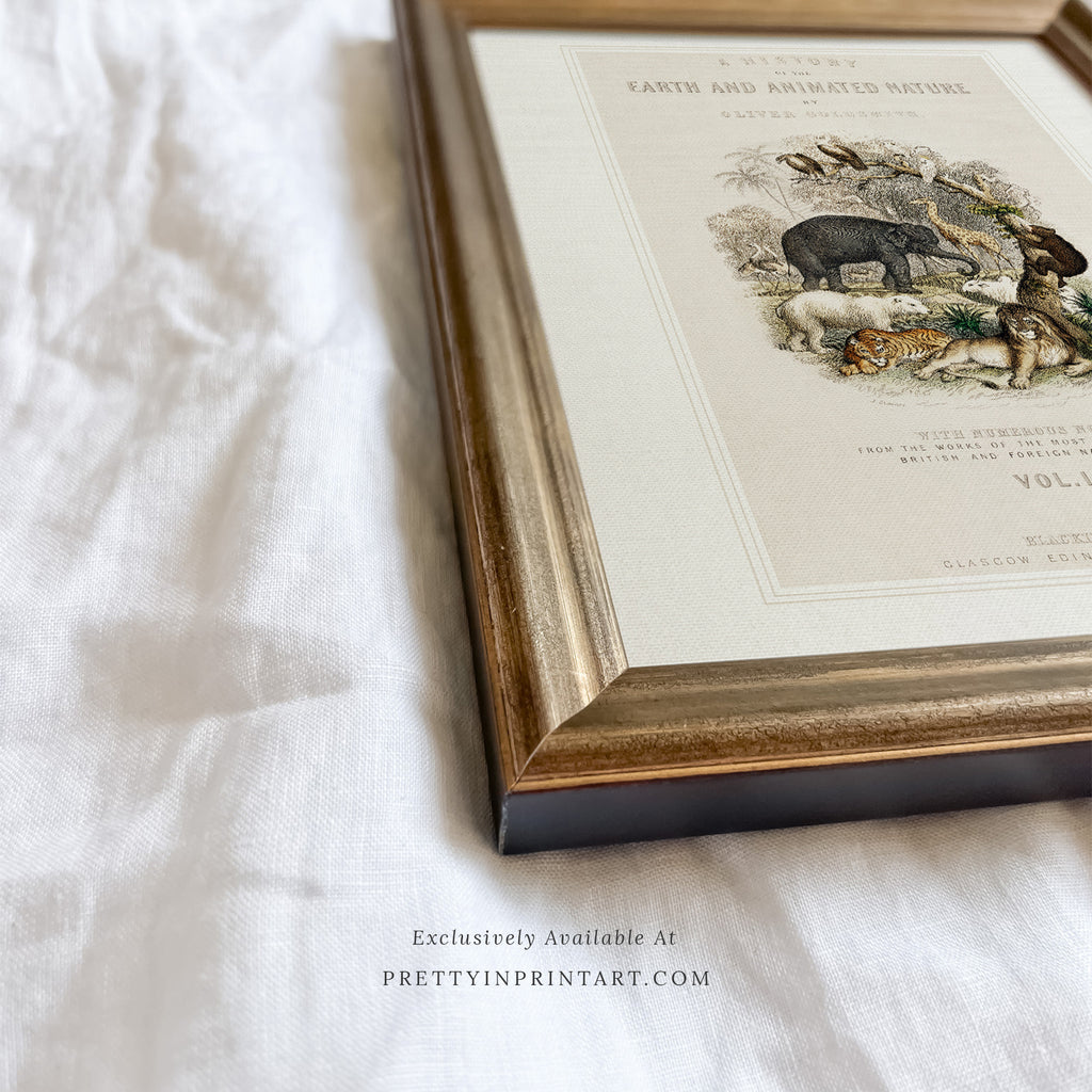 Soft Gold Vintage-Style Frame | 10473 (UK ONLY)