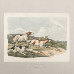 Vintage Hunting Dog Art Print – Sporting Dogs Antique Style Wall Art, Unframed (004)