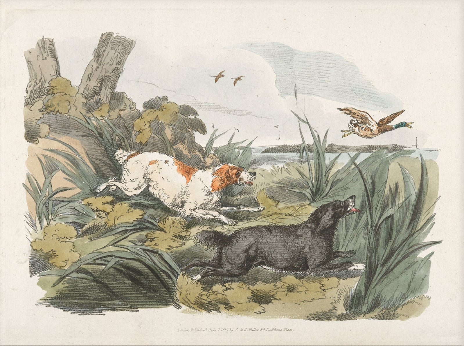 Vintage Hunting Dog Art Print 001 |  Unframed