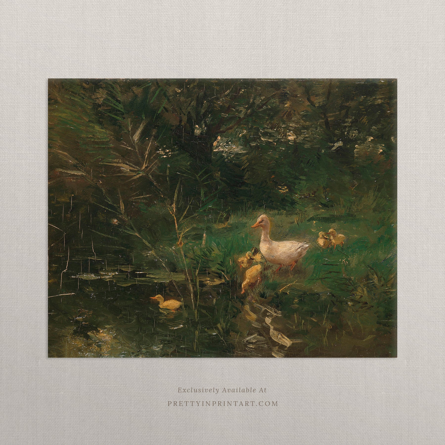 Duck & Ducklings Vintage Art 001 |  Unframed