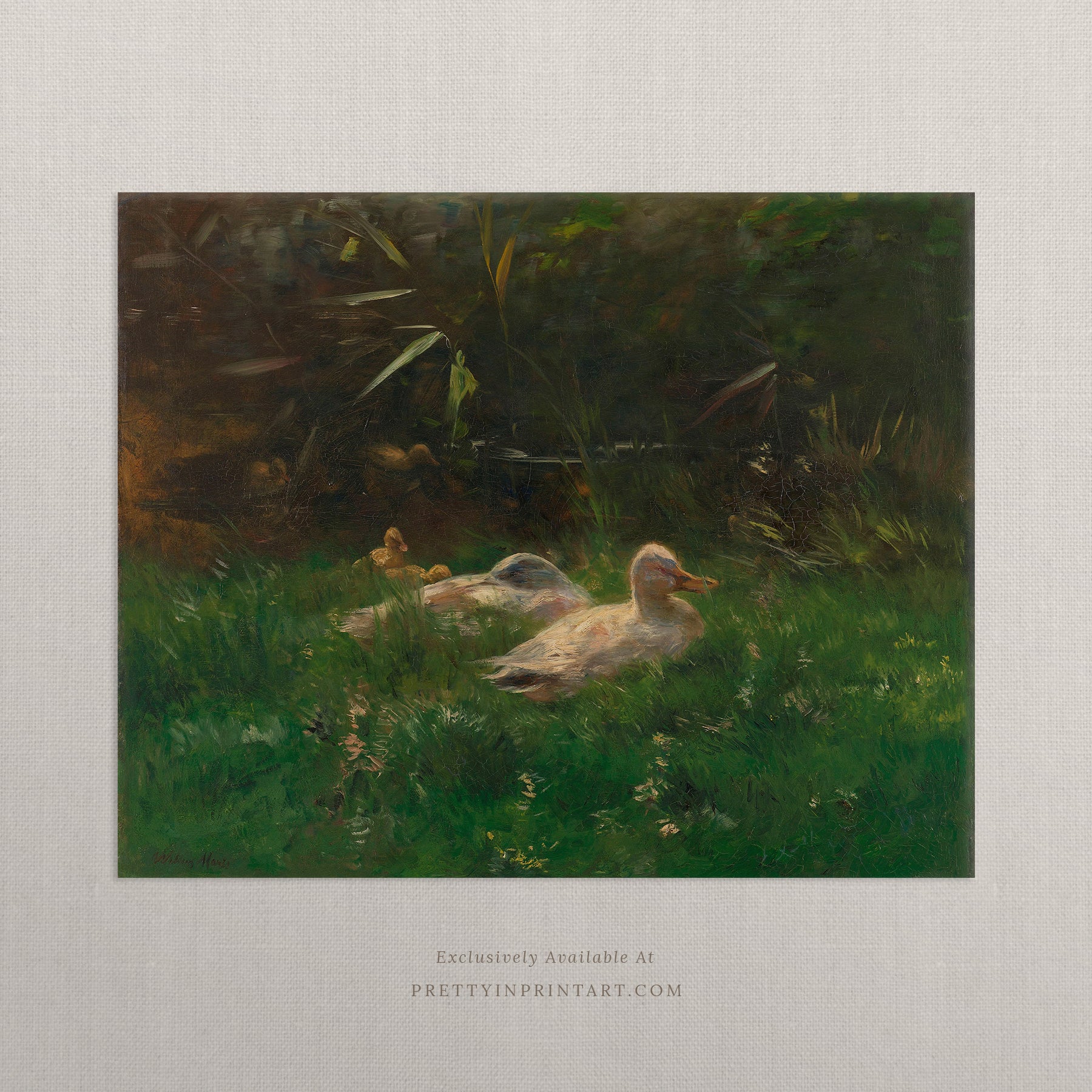 Duck & Ducklings Vintage Art 002 |  Unframed