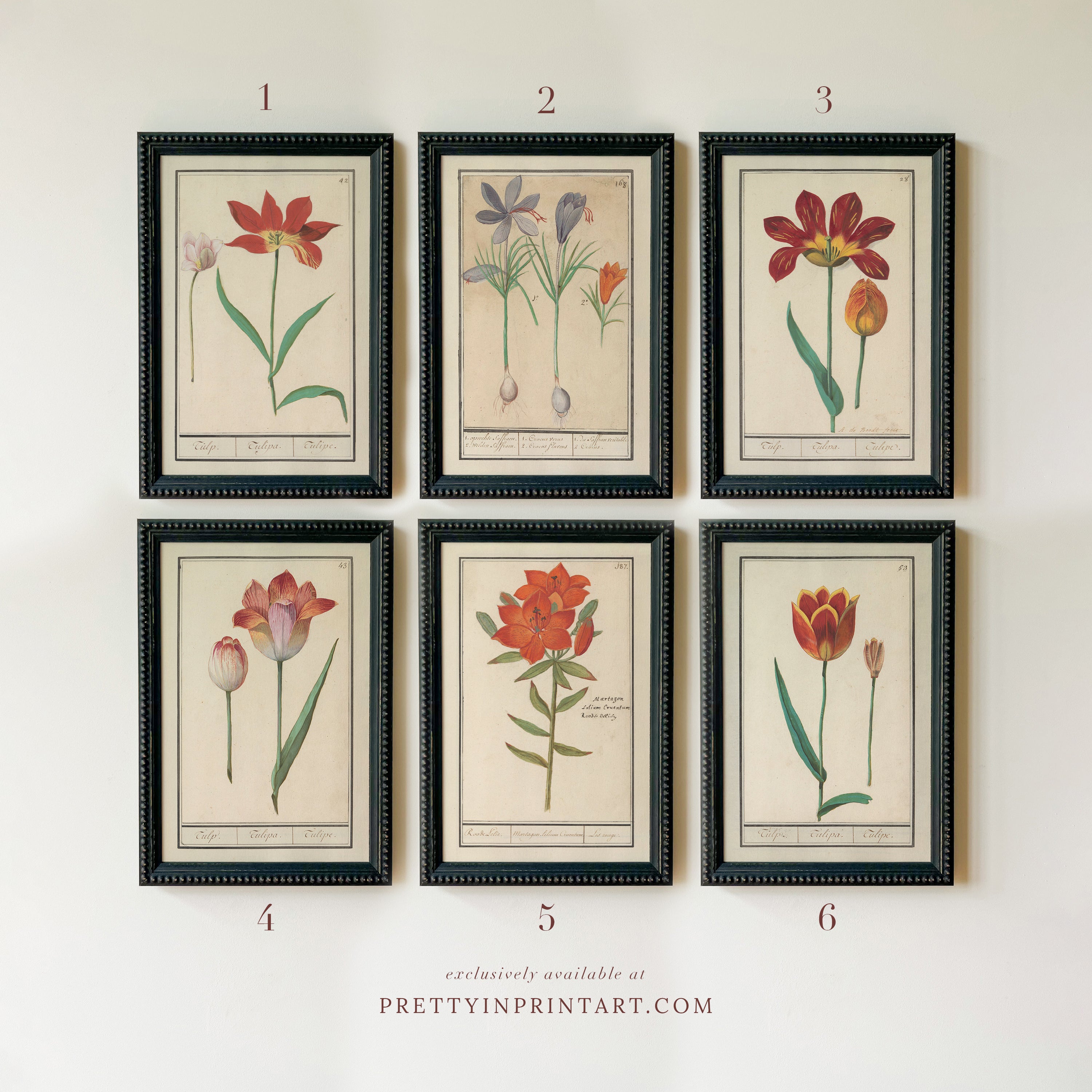Framed Vintage Flower Art | 006