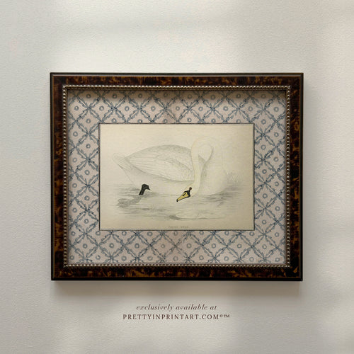 Vintage Swan Nursery Art Print – Framed in Tortoiseshell-Style Wood Frame