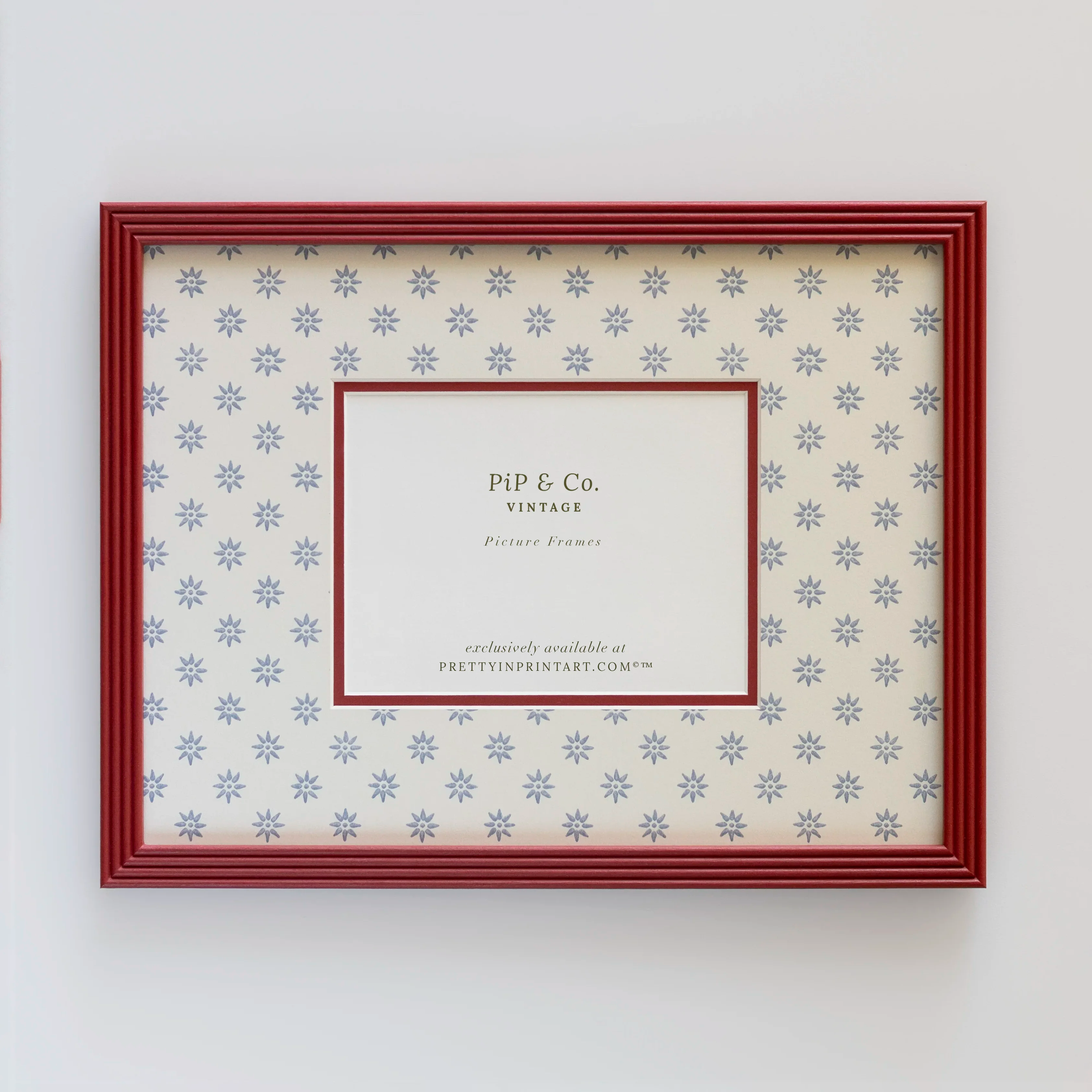 Red Hand Painted Frame | Wallpapered Mount (SW9+M18)