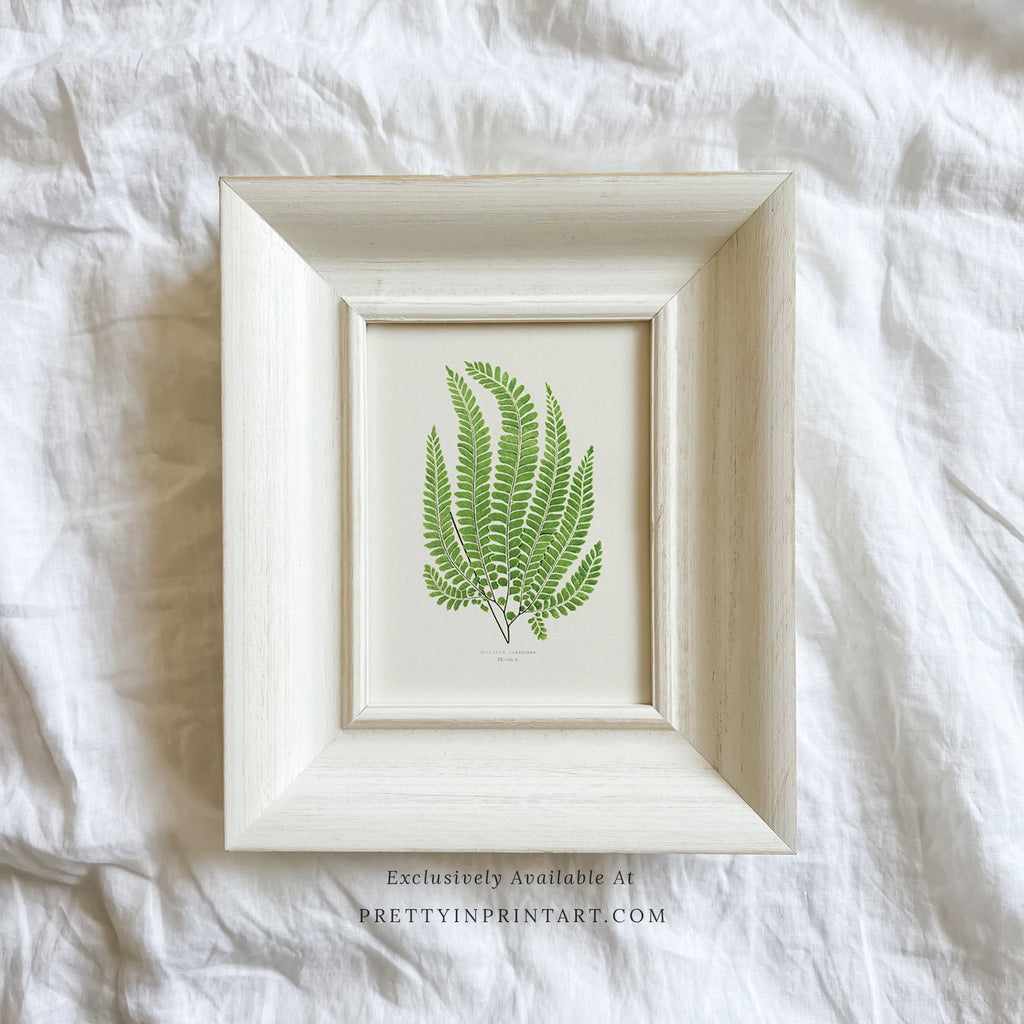 White Frame | 10467 (UK ONLY)