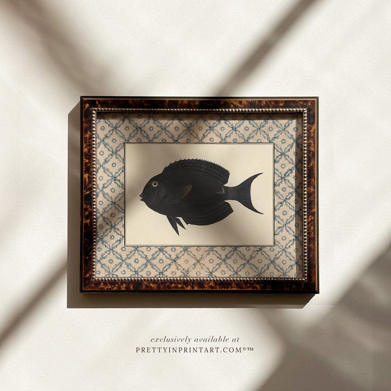 Framed vintage fish print.