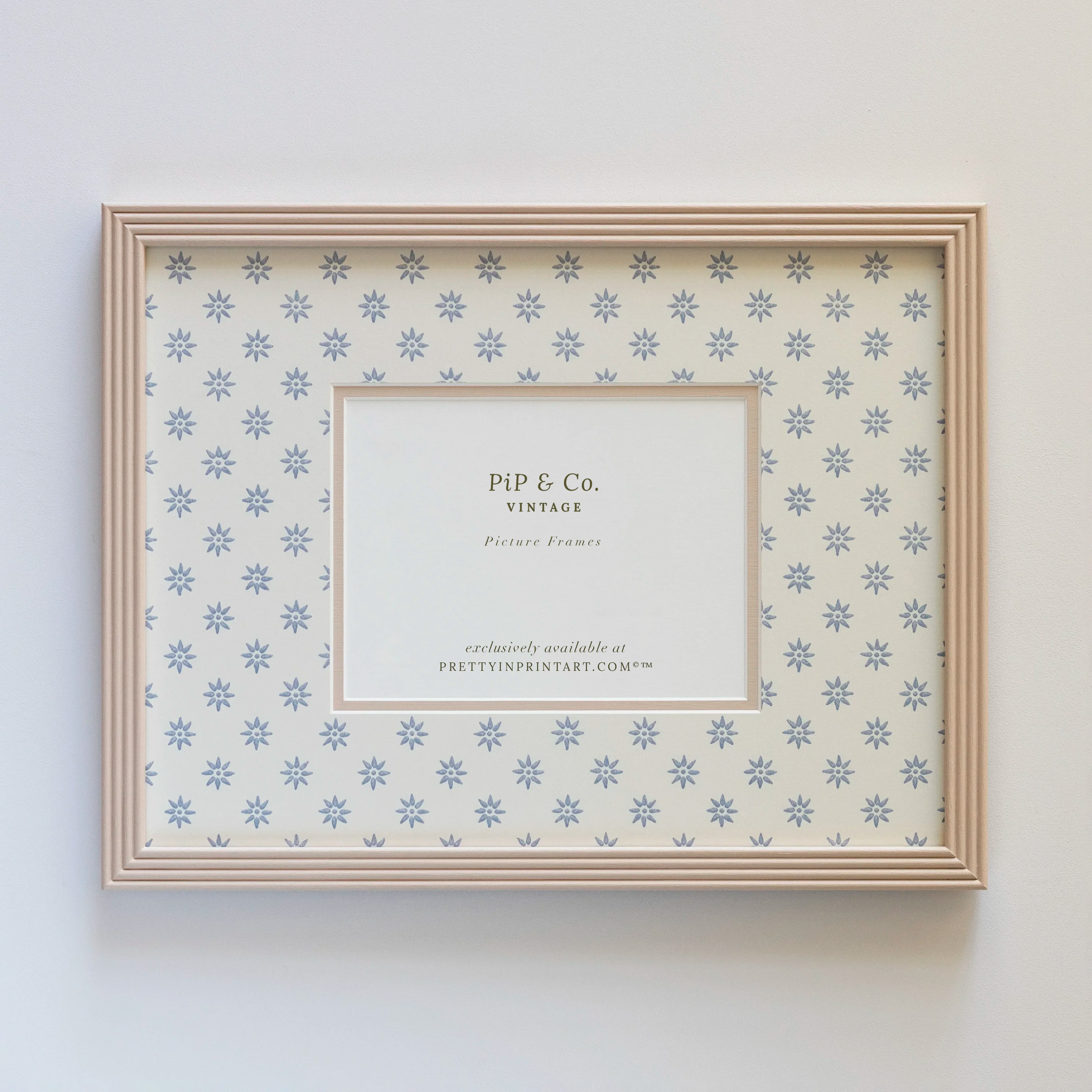 Pink Hand Painted Frame | Wallpapered Mount (SW9+M18)