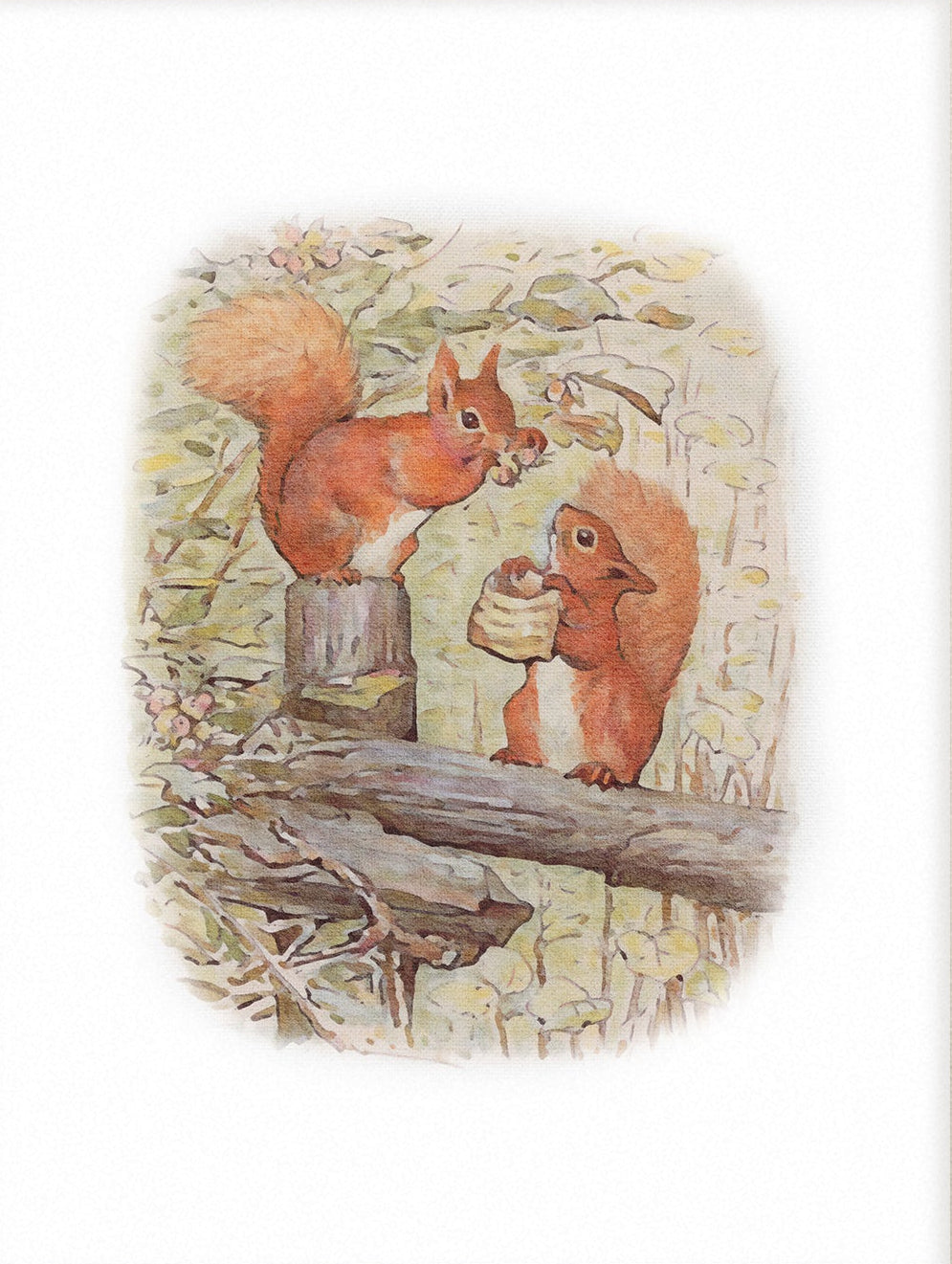 Beatrix Potter Nursery Art, Squirrel Nutkin |  Unframed