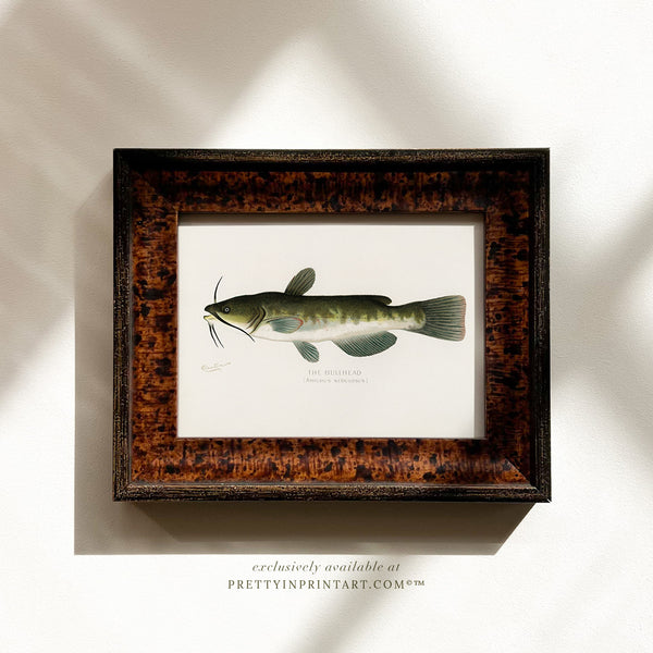 The Bullhead Antique Fish Art (007129 + BRN-TOR-3994)