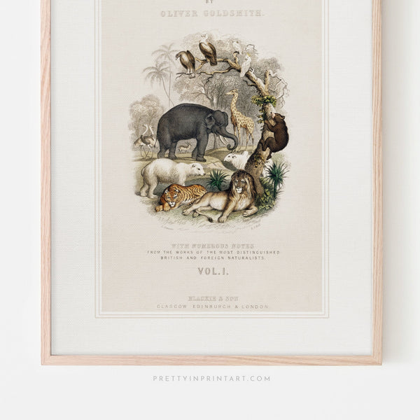 Animal Nursery Art, 00689 |  Framed Print