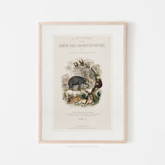 Animal Nursery Art, 00689 |  Framed Print