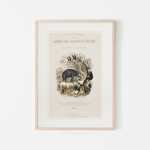 Animal Nursery Art, 00689 |  Framed Print