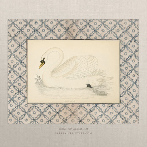 Vintage Swan Nursery Art Print – Antique Storybook Style Wall Art, Unframed