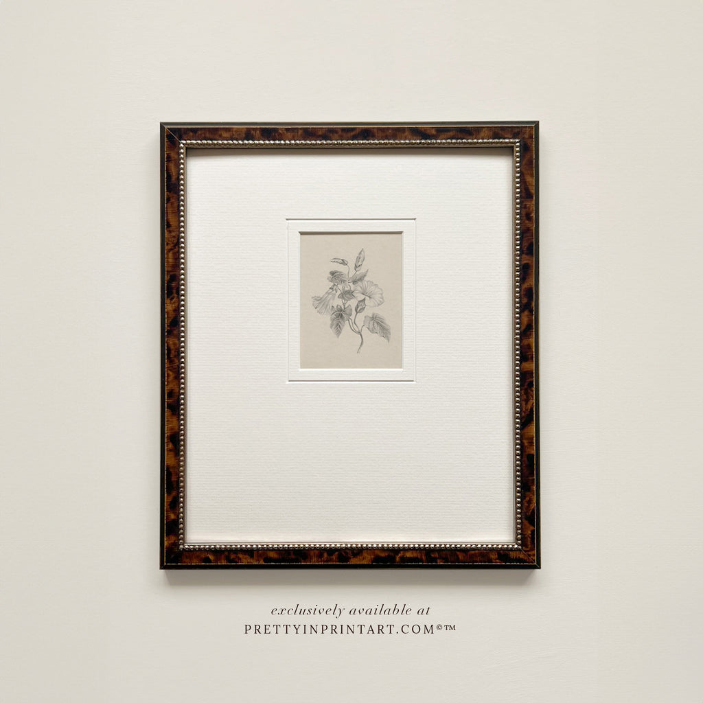 Vintage Flower Art 001 | Frame & Mount – Pretty in Print Art Ltd