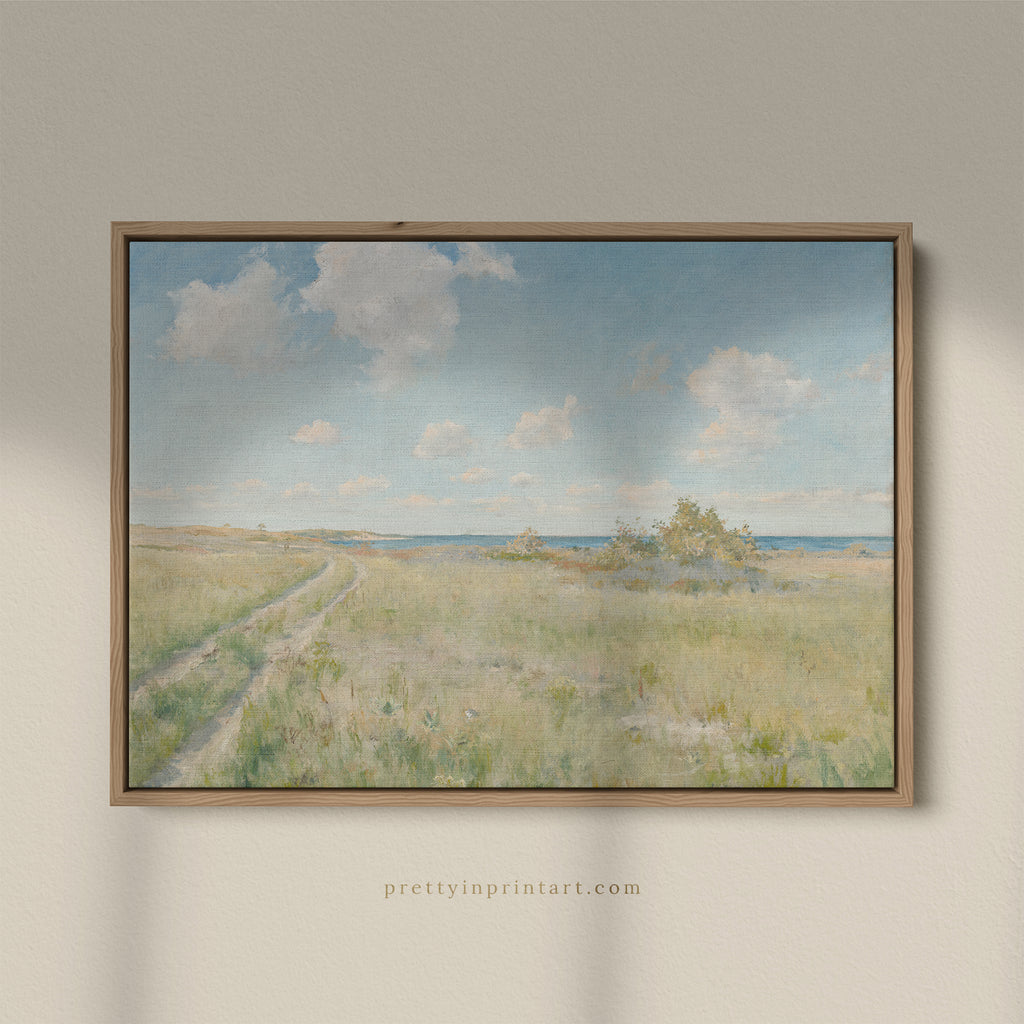 Landscape, Coastal 00576 |  Framed Canvas