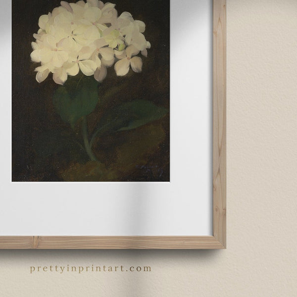 White Hydrangea Flower, 00847 |  Framed & Mounted Print