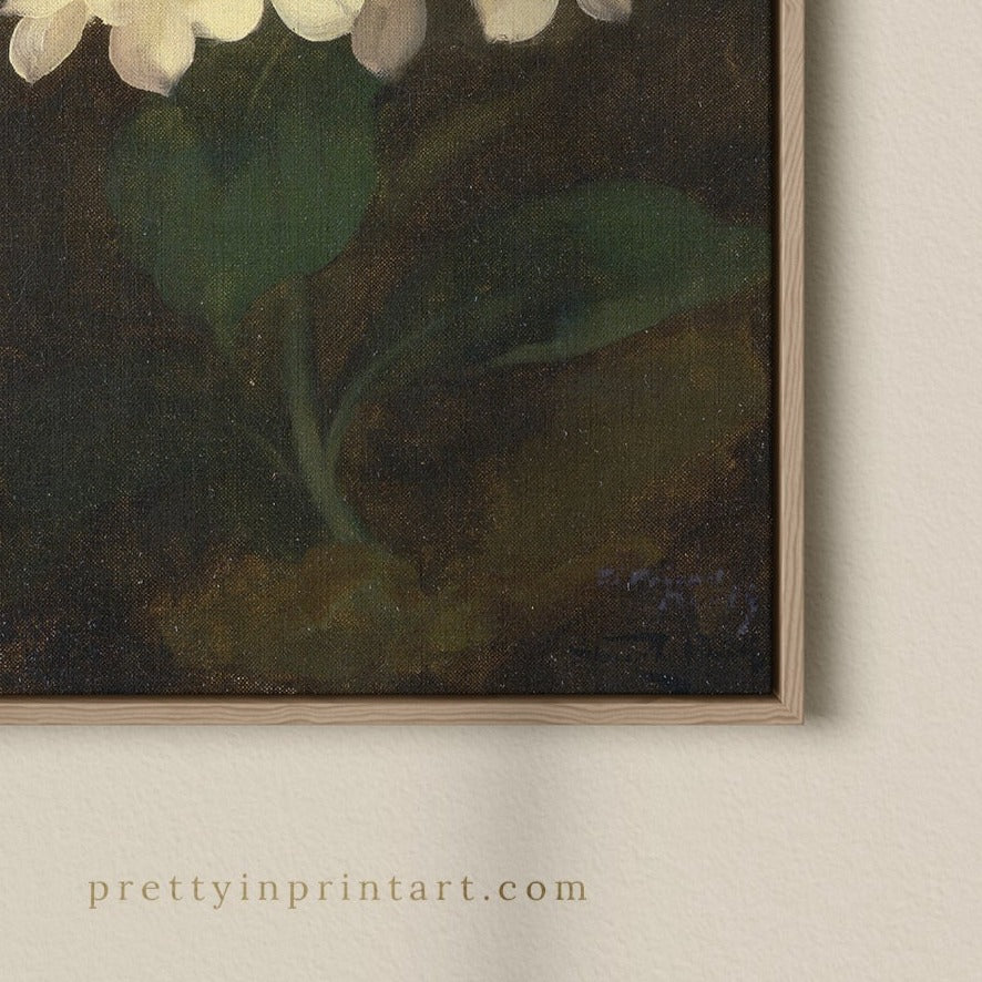 White Hydrangea Flower, 00847 |  Framed Canvas