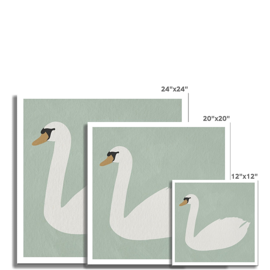 Swan Art - Terecas Green |  Unframed