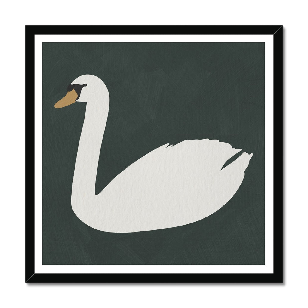 Swan Art - Studio Green |  Framed Print