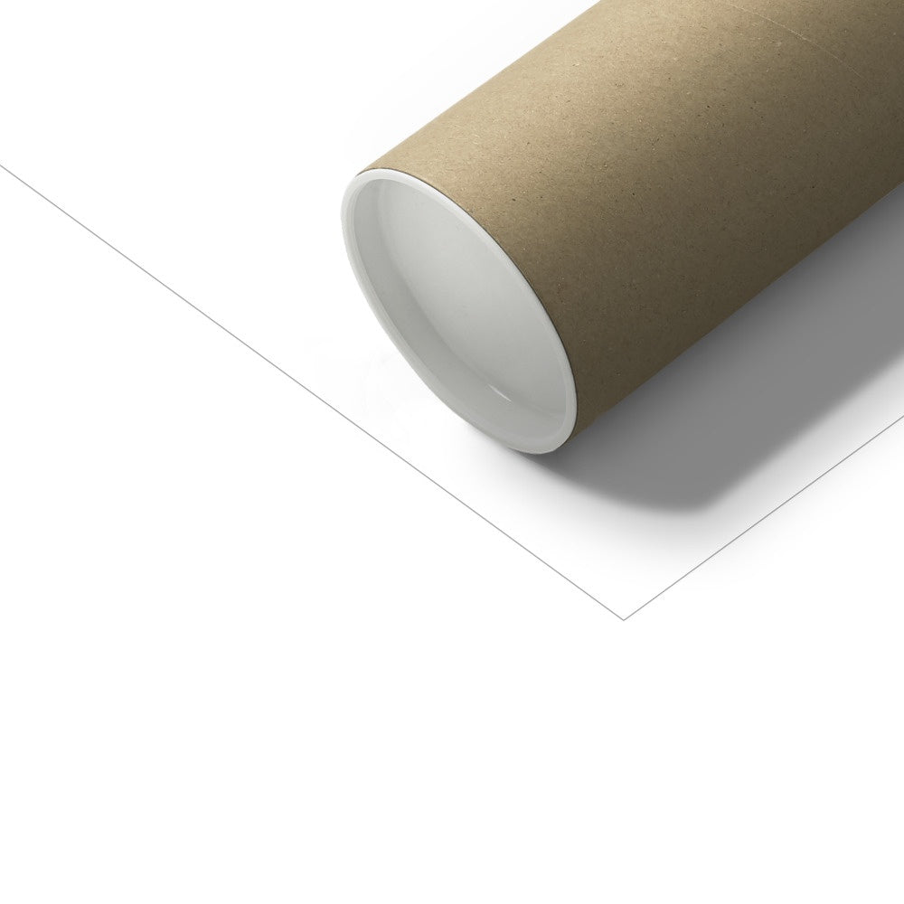 Toucan Print - Plain |  Unframed