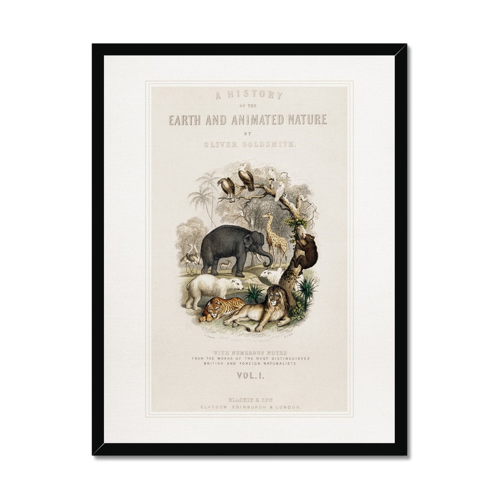 Animal Nursery Art, 00689 |  Framed Print