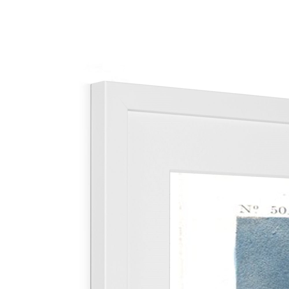 Arctic Fern |  Framed & Mounted Print