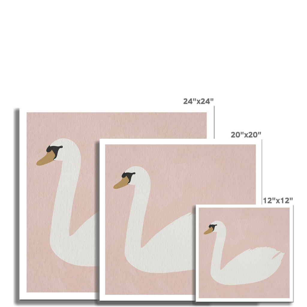 Swan Art - Calamine Pink |  Unframed