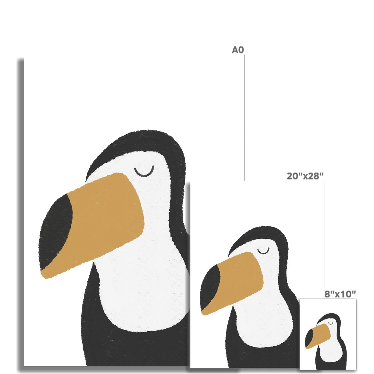 Toucan Print - Plain |  Unframed