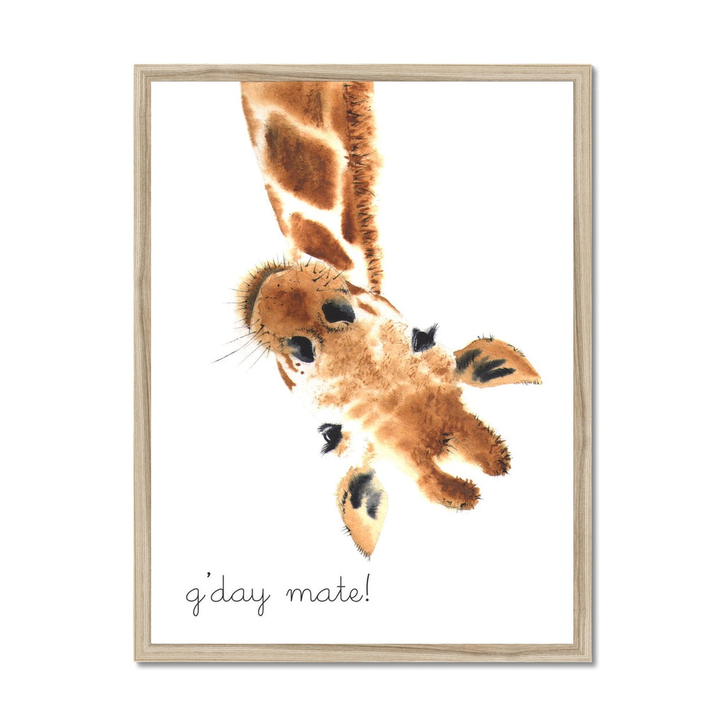 G'Day Mate Giraffe |  Framed Print