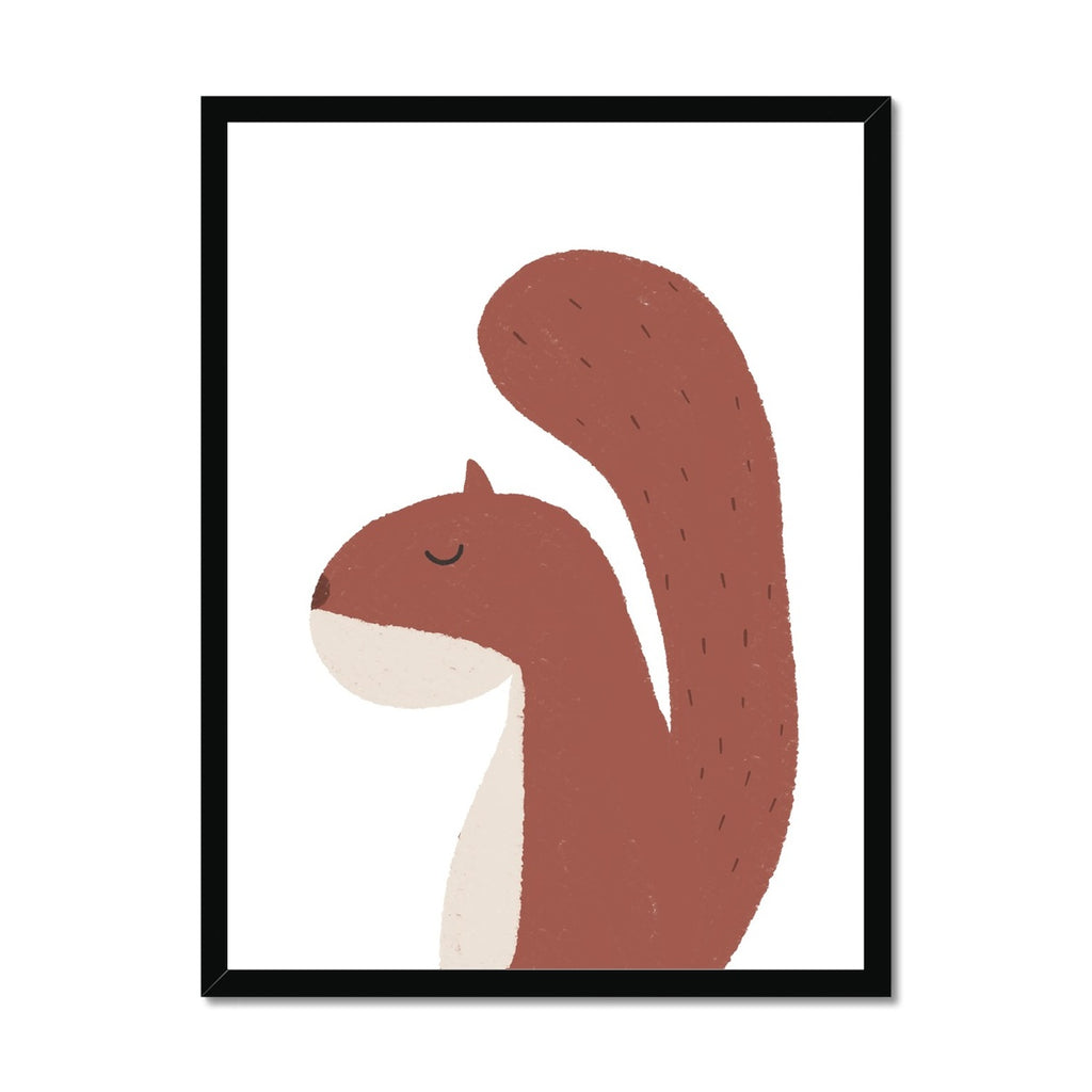 Squirrel Print - Plain |  Framed Print