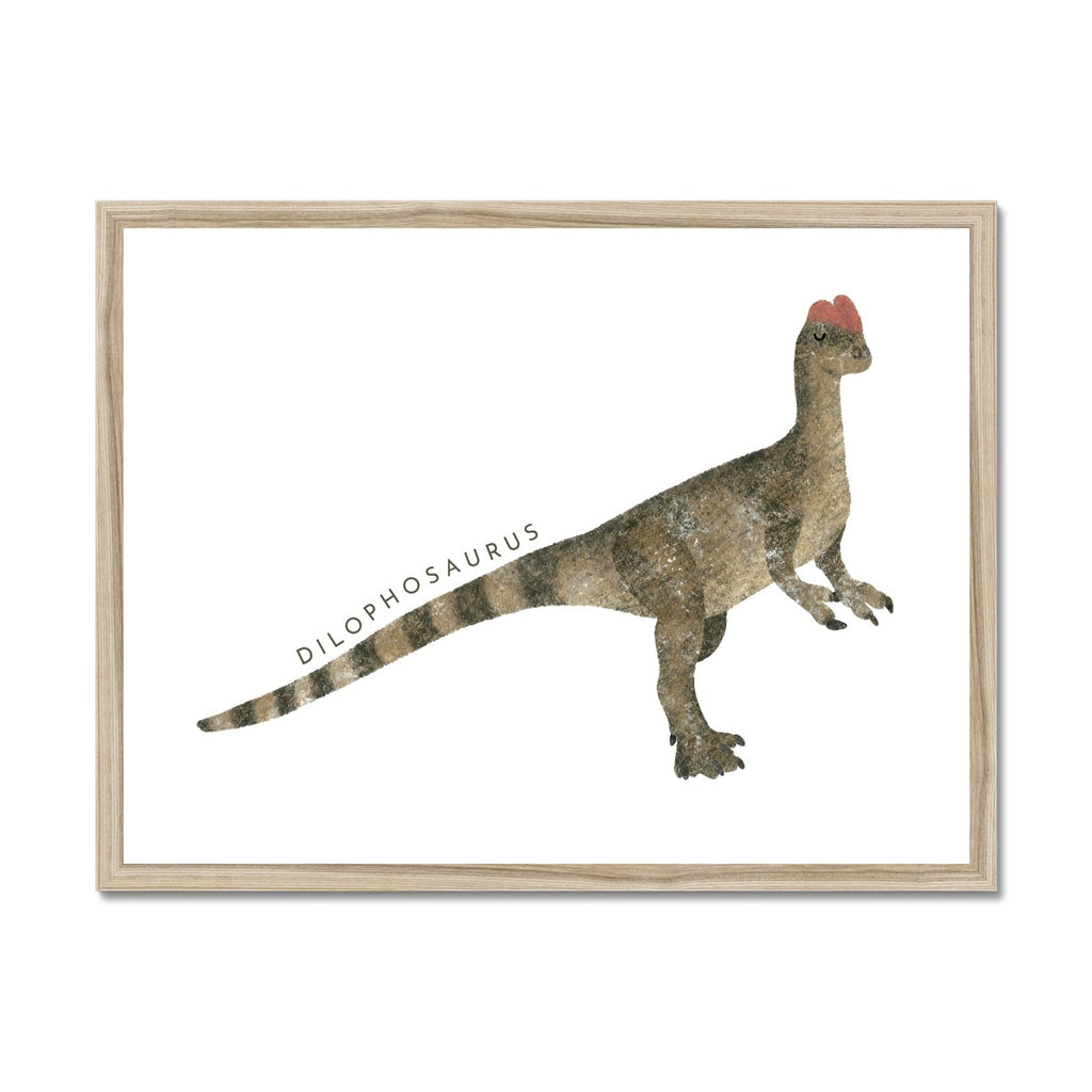 Dinosaur Art - Dilophosaurus |  Framed Print