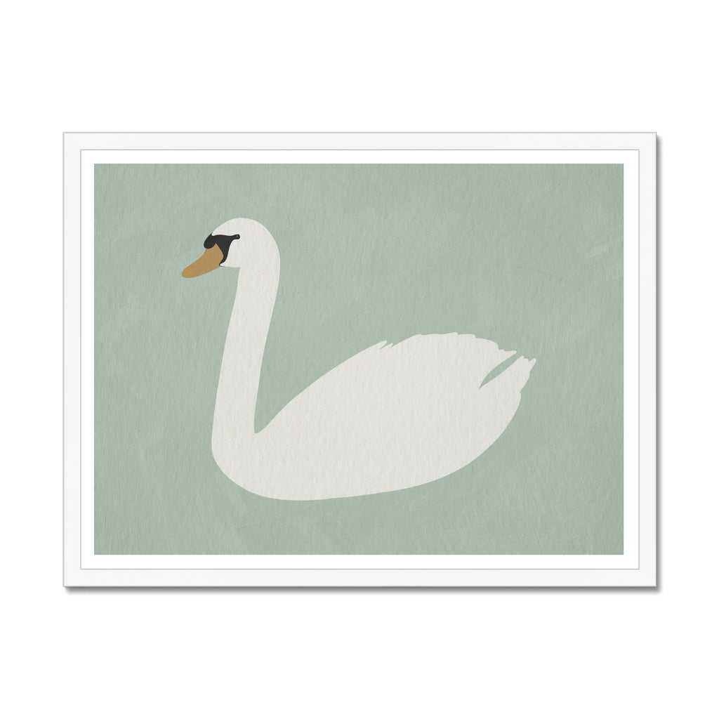 Swan Art - Terecas Green |  Framed Print