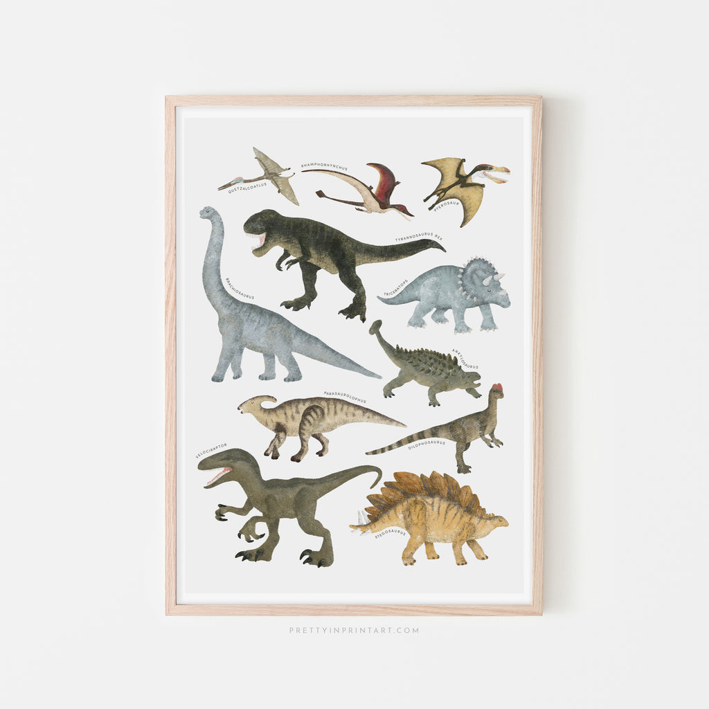 Dinosaur Educational Chart |  Framed Print