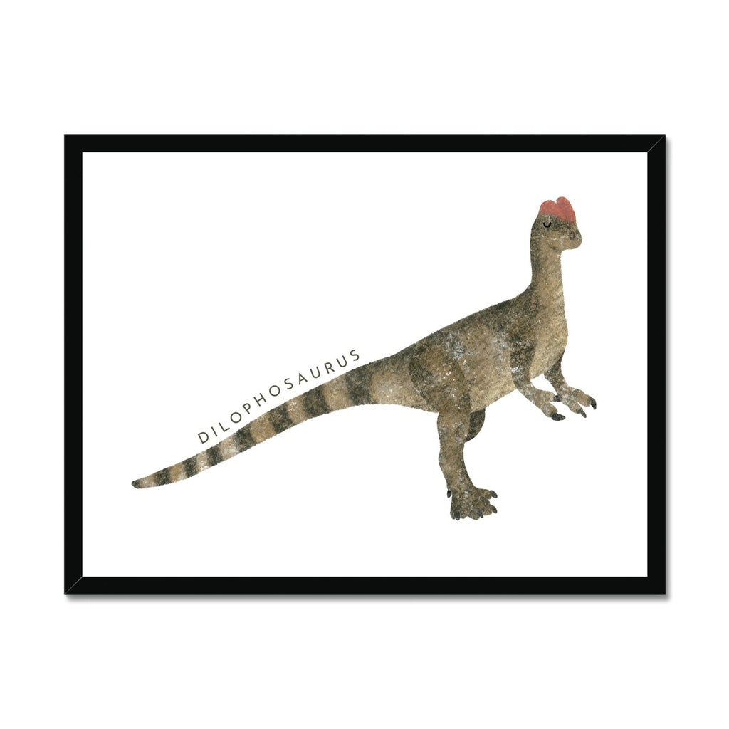 Dinosaur Art - Dilophosaurus |  Framed Print