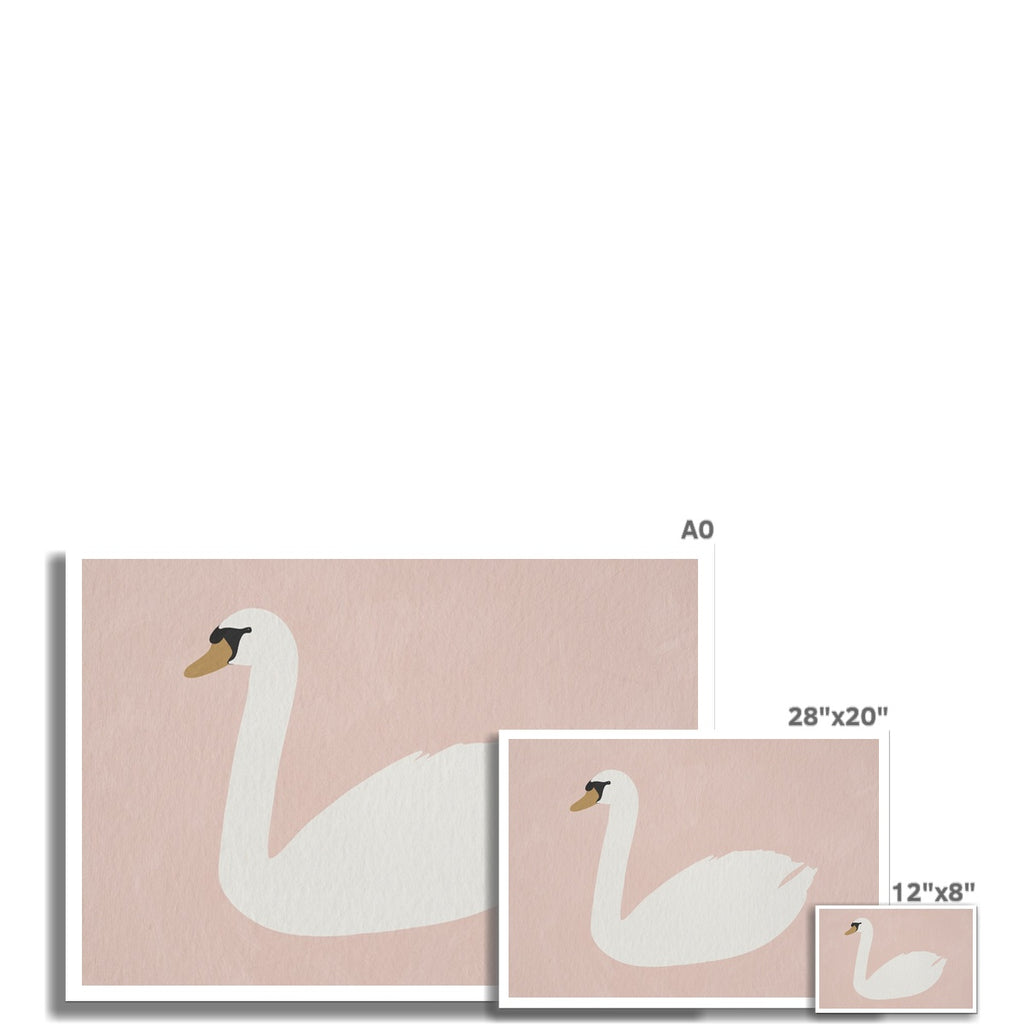 Swan Art - Calamine Pink |  Unframed